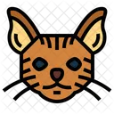 Chausie Cat Cat Breeds Icon