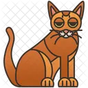 Chausie  Icon