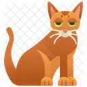 Chaussie  Ícone