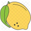 Citron Citron Vert Fruits Icon