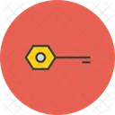 Chave Criptografia Privada Ícone