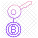 Chave Chave Bitcoin Chave Digital Icon