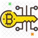 Chave Digital Chave Digital Bitcoin Bitcoin Ícone