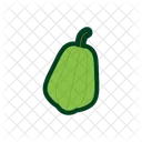 Chayote Pepino Coliflor Icono