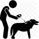 Check Dog Identity  Icon