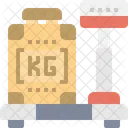 Checked Baggage Carry Icon