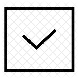 Check Square  Icon