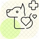 Check Up Veterinario Veterinario Check Up Icon