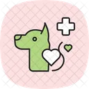 Check Up Veterinario Veterinario Check Up Icon