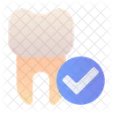 Checked Check Mark Tooth Icon