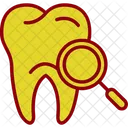 Checkup  Icon