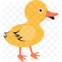 Cheerful yellow duckling  Icon