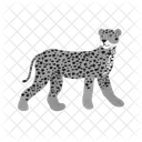 Cheetah Animal Wildlife Icon