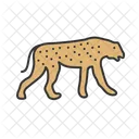 Cheetah Animal Wildlife Icon