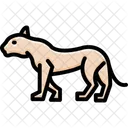 Cheetah  Icon