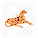 Cheetah Leopard Jaguar Icon