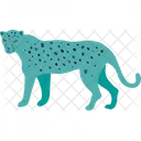 Cheetah Leopard Tiger Icon