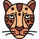 Cheetah Animal Animals Icon