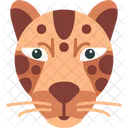 Cheetah Animal Animals Icon