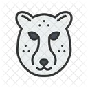 Cheetah Face  Icon