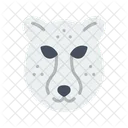 Cheetah Face Cheetah Face Icon