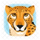 Cheetah Icon