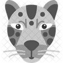 Cheetah Animal Animals Icon