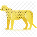 Cheetah Animal Leopard Icon