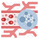 Chelation Therapy Blood Cell Alternative Medicine Icon