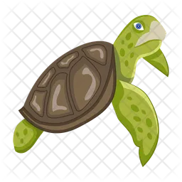 Schildkröte  Symbol