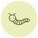 Chenille Legionnaire Insecte Chenille Icône
