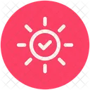 Marcar Verificar Corrigir Icon