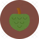 Cherimoia Comida Fruta Icon