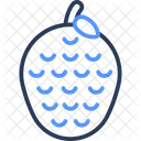 Cherimoya  Icon