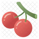 Cherries Cherry Fruit Icon