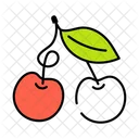 Prunus Avium Cherries Fresh Fruit Icon