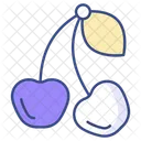 Cherries  Icon