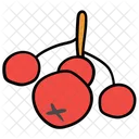 Cherries  Icon