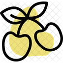 Cherries Icon