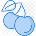 Cherries  Icon