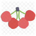 Cherries  Icon