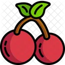 Cherries  Icon