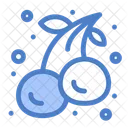 Cherries Cherry Food Icon