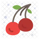Cherries  Icon