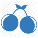 Fruit Cherry Berry Icon