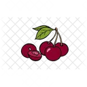 Cherry Fruit Food Icon