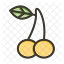 Fruit Food Cherry Icon