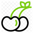 Cherries Fruit Cherry Icon