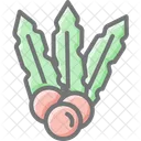 Cherry Essence Iconic Cherries Fruity Icon