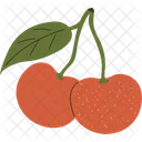 Cherry Ingredient Nutrition Icon